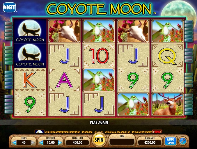 Coyote Moon Slot