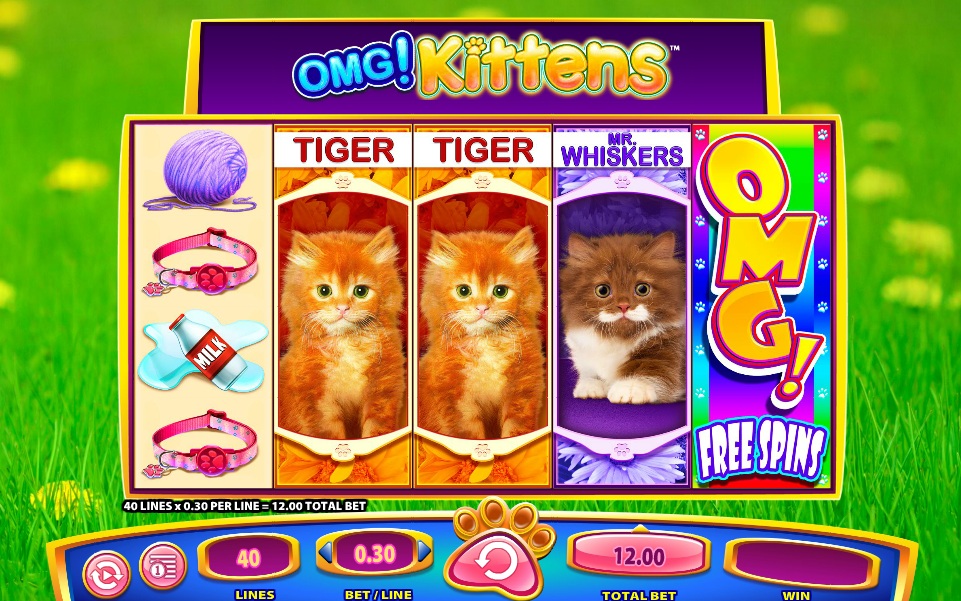 OMG! Kittens Slot - BIG WIN BONUS!