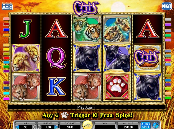 Cats Casino Game