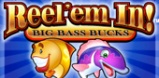 Cover art for Reel ‘Em In – Big Bass Bucks slot