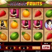 Ninja Fruits Slot