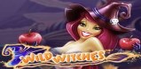 Cover art for Wild Witches slot