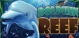 Cover art for Dolphin Reef slot