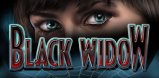 Cover art for Black Widow slot