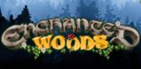 Cover art for Enchanted Woods slot