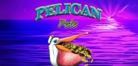 Cover art for Pelican Pete slot