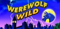 Cover art for Werewolf Wild slot