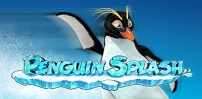 Cover art for Penguin Splash slot