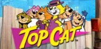 Cover art for Top Cat slot