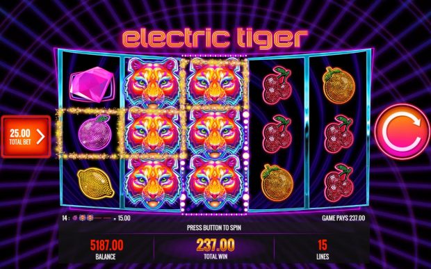 electric tiger slot game