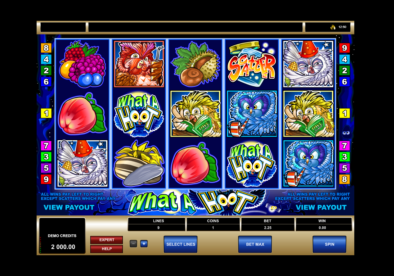 what a hoot slot game