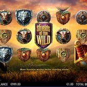 shields of the wild slot game