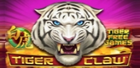 Cover art for Tiger Claw slot