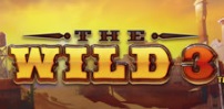 Cover art for The Wild 3 slot