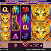 desert cats slot game