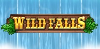 Cover art for Wild Falls slot