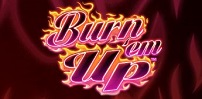 Cover art for Burn Em Up slot