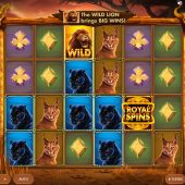 wild cats multiline slot game