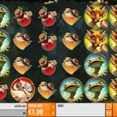 wild tome of the woods slot game