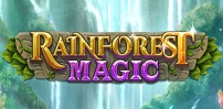 Cover art for Rainforest Magic slot