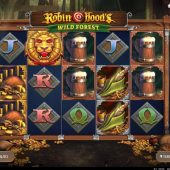 robin hood's wild forest slot game