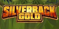 Cover art for Silverback Gold slot