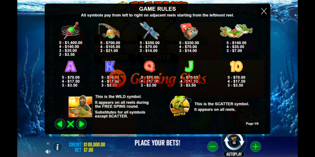 Game Rules for Big Bass Bonanza slot from Reel kingdom