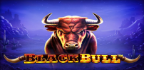 Cover art for Black Bull slot