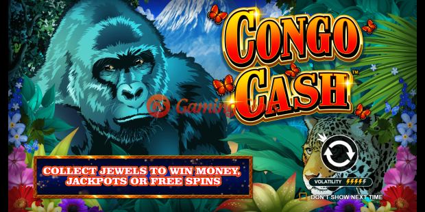 Game Intro for Congo Cash slot from Wild Streak Gaming