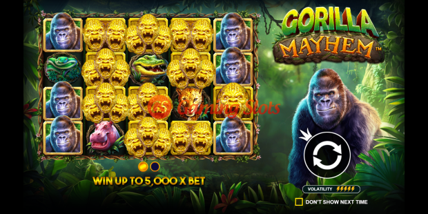 Game Intro for Gorilla Mayhem slot from Pragmatic Play
