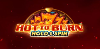 Cover art for Hot to Burn Hold and Spin slot