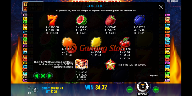 Game Rules for Hot To Burn Extreme slot from Reel kingdom