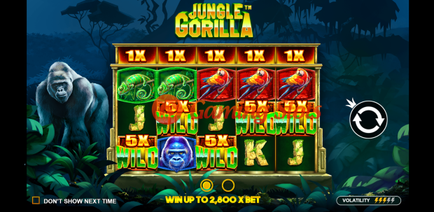 Game Intro for Jungle Gorilla slot by Pragmatic Play
