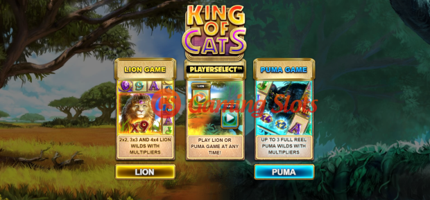 Game Intro for King Of Cats slot from Big Time Gaming