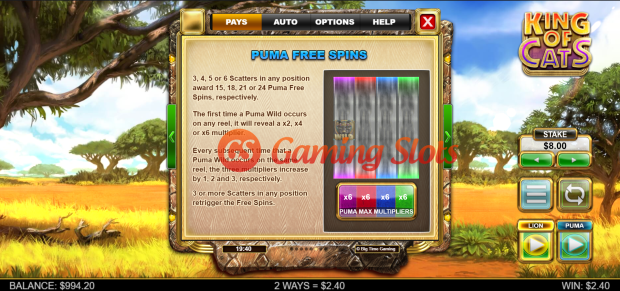 Game Rules for King Of Cats slot from Big Time Gaming