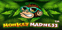 Cover art for Monkey Madness slot