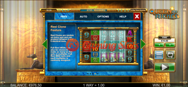 Game Rules for Queen Of Riches slot from Big Time Gaming