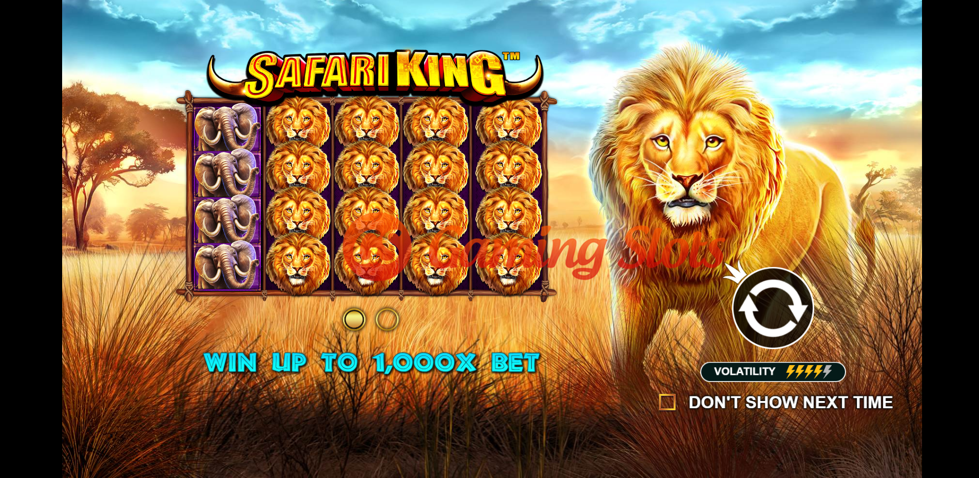 Game Intro for Safari King slot by Pragmatic Play