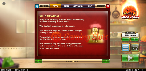 Game Rules for Spicy Meatballs slot from Big Time Gaming
