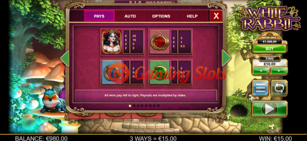 Pay Table for White Rabbit slot from Big Time Gaming