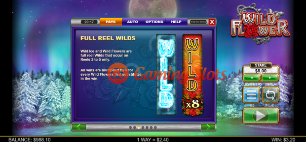 Game Rules for Wild Flower slot from Big Time Gaming