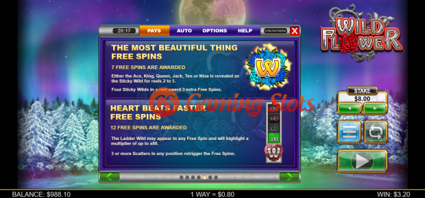 Game Rules for Wild Flower slot from Big Time Gaming