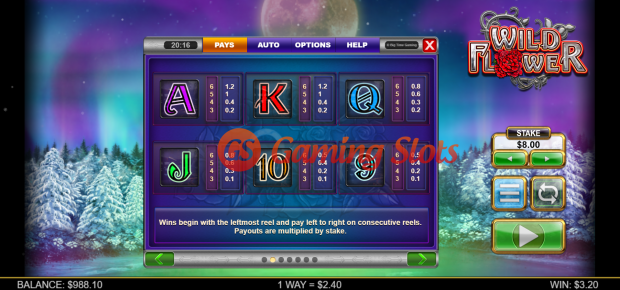 Pay Table for Wild Flower slot from Big Time Gaming