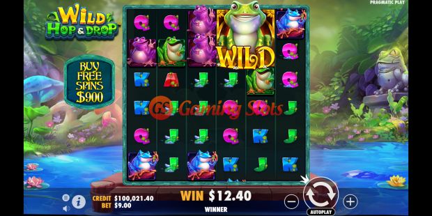 Base Game for Wild Hop and Drop slot from Pragmatic Play