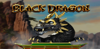 Cover art for Black Dragon slot