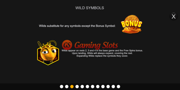 Pay Table for Follow The Honey slot from Inspired Gaming