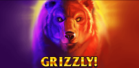 Cover art for Grizzly slot
