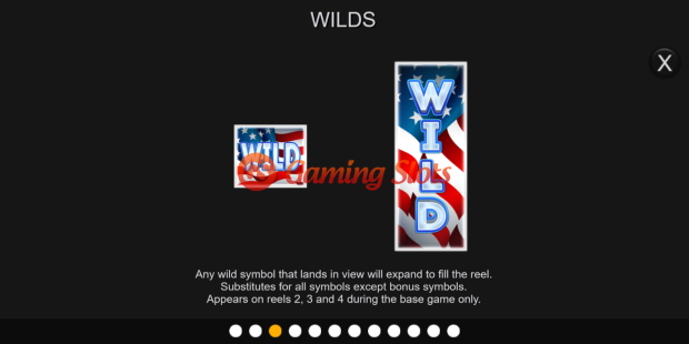 Game Rules for Liberty Cash Spins slot from Inspired Gaming