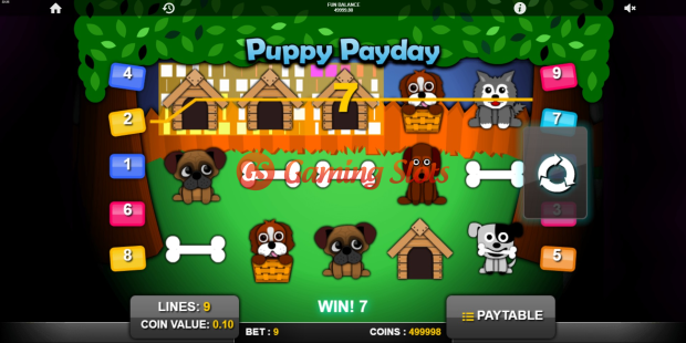 Puppy Payday slot base game by 1X2 Gaming