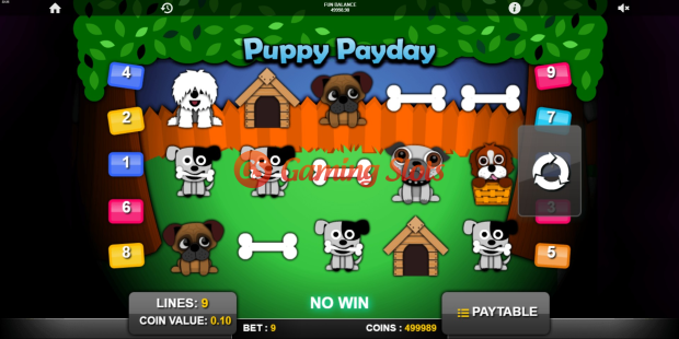 Puppy Payday slot base game by 1X2 Gaming